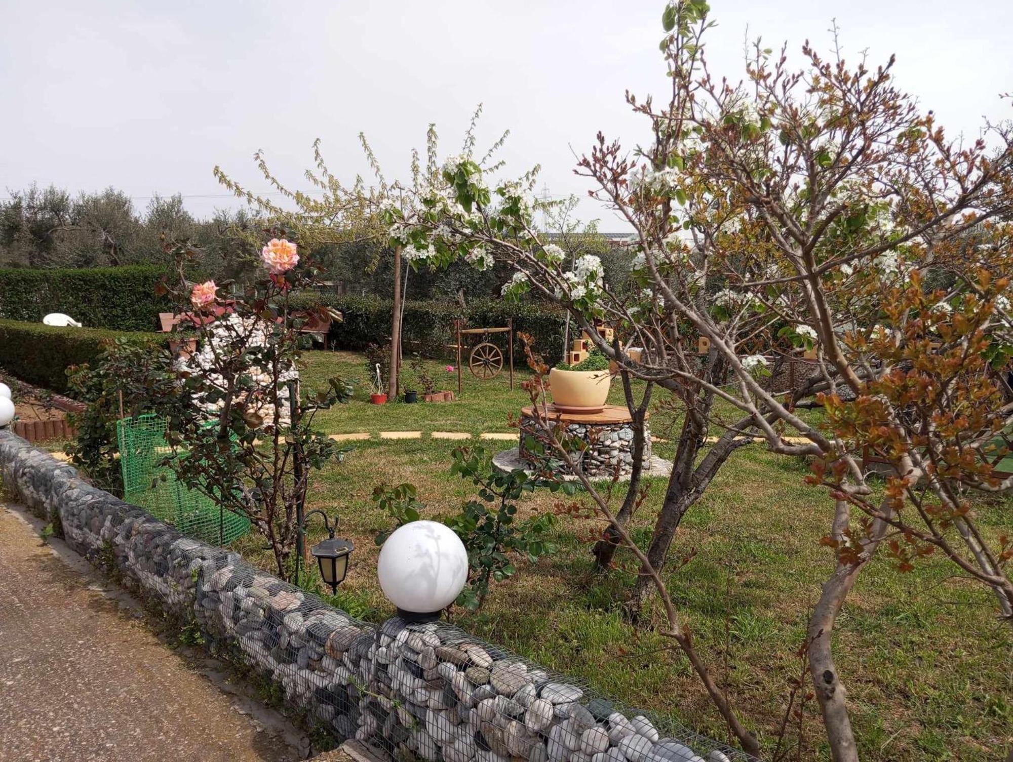 Dora's Garden Lägenhet Alexandroupolis Exteriör bild
