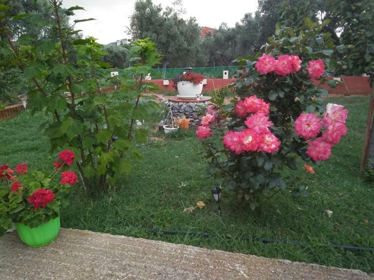 Dora's Garden Lägenhet Alexandroupolis Exteriör bild