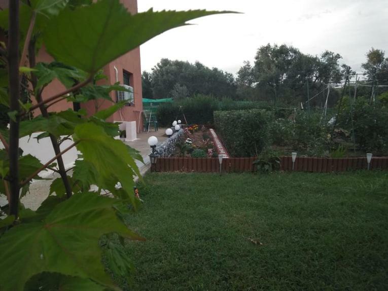 Dora's Garden Lägenhet Alexandroupolis Exteriör bild